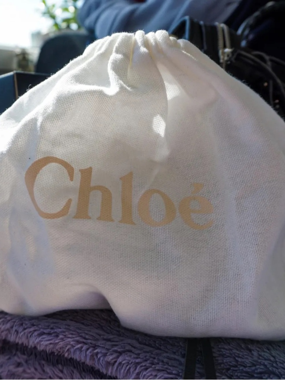 Chloé Dust Bag in White with Beige Logo large 20x20